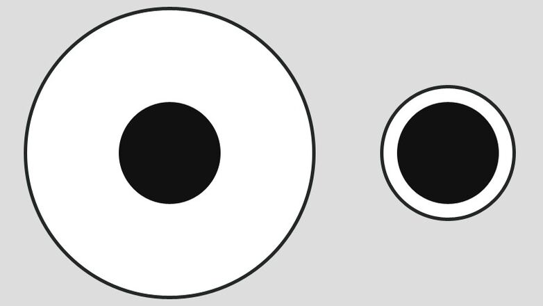Delbeuf ilūzija - atšķirīga uztvere par porcijas lielumu uz lielām un mazām plāksnēm
